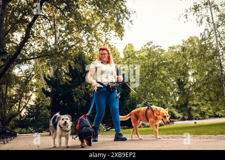 Promeneur de chien femelle avec des chiens appréciant dans la promenade de la ville. Banque D'Images