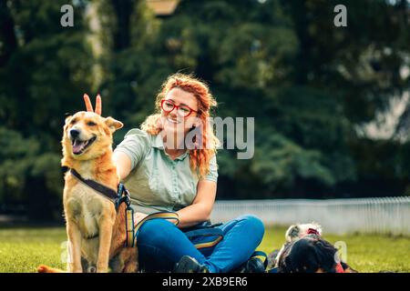 Promeneur de chien femelle avec des chiens appréciant dans le parc de la ville tout en étant assis sur l'herbe. Banque D'Images