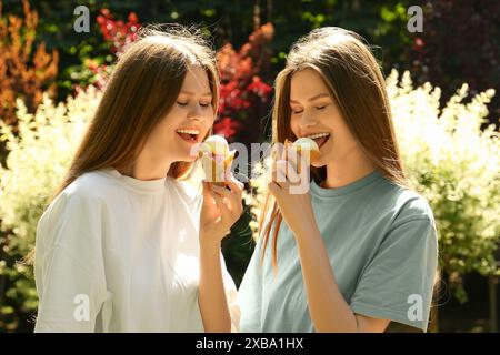 Deux belles sœurs jumelles mangeant de la crème glacée dans le parc Banque D'Images