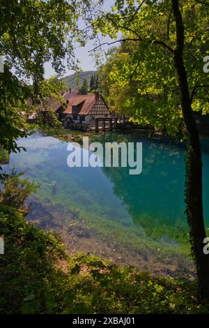 Allemagne, Blaubeuren - 20 août 2023 : le Blautopf est une source dans un environnement karstique avec de l'eau bleue et un marteau mill. Banque D'Images