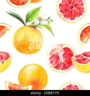 Motif aquarelle sans couture de pamplemousse, idéal pour des conceptions saines fraîches et vibrantes Banque D'Images