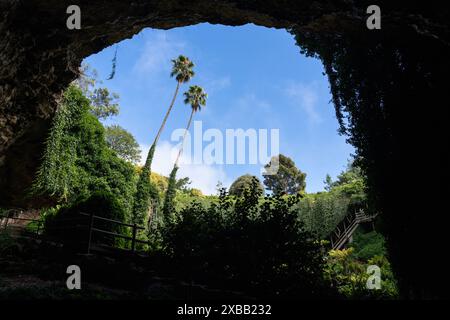 Vue de l'intérieur du trou d'eau d'Umpherston à Mount Gambier, Australie méridionale, montrant une végétation luxuriante et un ciel bleu clair Banque D'Images