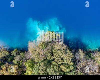 vue ériale d'une forêt luxuriante à côté d'un plan d'eau bleu clair avec terrain sous-marin visible. Banque D'Images