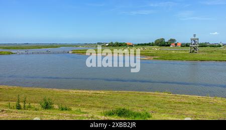 Tour d'observation à Plan Tureluur, réserve naturelle près de Kerkwerwe sur l'île Schouwen-Duiveland, Zélande, pays-Bas Banque D'Images