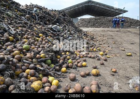 GHANA, Accra Tema, Ashaiman, usine de biogaz et de compostage Safisana, les déchets organiques sont utilisés pour la production de biogaz et le traitement du compost, unité de compostage / GHANA, Safi Sana Biogasanlage, organisateur Abfall werden zu Biogas vergärt und zu Kompost verarbeitet, Kompostwerk Banque D'Images