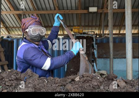 GHANA, Accra Tema, Ashaiman, usine de biogaz et de compostage Safisana, les déchets organiques sont utilisés pour la production de biogaz et le traitement du compost, unité de compostage / GHANA, Safi Sana Biogasanlage, organisateur Abfall werden zu Biogas vergärt und zu Kompost verarbeitet, Kompostwerk Banque D'Images