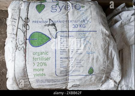GHANA, Accra Tema, Ashaiman, usine de biogaz et de compostage Safisana, les déchets organiques sont utilisés pour la production de biogaz et le traitement du compost, unité de compostage / GHANA, Safi Sana Biogasanlage, organisateur Abfall werden zu Biogas vergärt und zu Kompost verarbeitet, Kompostwerk Banque D'Images