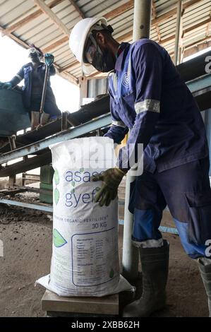 GHANA, Accra Tema, Ashaiman, usine de biogaz et de compostage Safisana, les déchets organiques sont utilisés pour la production de biogaz et le traitement du compost, unité de compostage / GHANA, Safi Sana Biogasanlage, organisateur Abfall werden zu Biogas vergärt und zu Kompost verarbeitet, Kompostwerk Banque D'Images