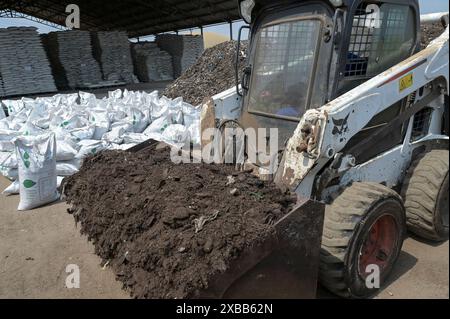 GHANA, Accra Tema, Ashaiman, usine de biogaz et de compostage Safisana, les déchets organiques sont utilisés pour la production de biogaz et le traitement du compost, unité de compostage / GHANA, Safi Sana Biogasanlage, organisateur Abfall werden zu Biogas vergärt und zu Kompost verarbeitet, Kompostwerk Banque D'Images