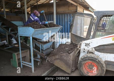 GHANA, Accra Tema, Ashaiman, usine de biogaz et de compostage Safisana, les déchets organiques sont utilisés pour la production de biogaz et le traitement du compost, unité de compostage / GHANA, Safi Sana Biogasanlage, organisateur Abfall werden zu Biogas vergärt und zu Kompost verarbeitet, Kompostwerk Banque D'Images