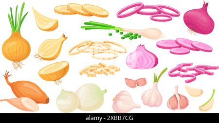Oignon coupé dans une bande dessinée. Coupe des oignons verts ou rouges de ferme et de l'ail, bulbe demi-légume violet haché légumes frais échalote tranches d'aliments sains biologiques, illustration vectorielle soignée Illustration de Vecteur