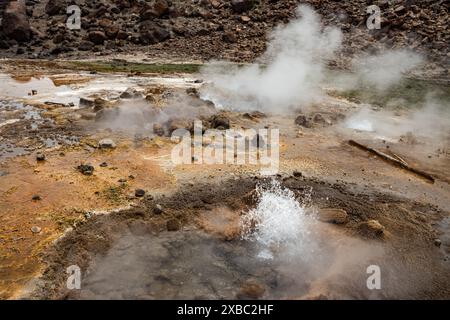 Zone géothermique d'Alolabad en Ethiopie avec un paysage surréaliste de sources chaudes colorées, fumerolles fumeroleuses et geysers salés en éruption dans une zone aride, Afar Banque D'Images