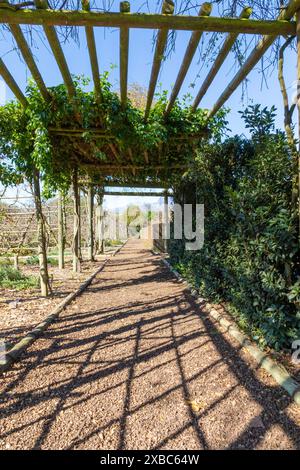 Passerelle en terre battue dans le parc avec des zones couvertes de poutres en bois et plante de la vigne poussant dessus. Concept de perspective décroissante. Banque D'Images