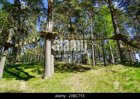 Piste d'obstacle de corde haut dans les arbres, un parcours de corde dans un parc d'aventure dans une forêt de pins, piste d'escalade dans un parc d'aventure Banque D'Images