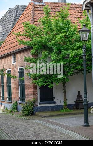 Vieille maison en briques rouges et volets verts dans une rue calme, à côté d'un arbre vert luxuriant, Bredevoort, gelderlande, pays-bas Banque D'Images