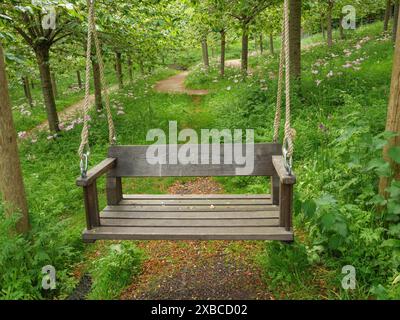 Balançoire en bois dans une forêt calme avec des arbres verts et un chemin en arrière-plan, Thynemouth, Angleterre, Royaume-Uni Banque D'Images