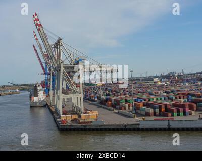 Grosses grues dans le port de chargement des conteneurs, cargo sur le quai, de nombreux conteneurs empilés, Elbe, Hambourg, Allemagne du Nord, Allemagne Banque D'Images