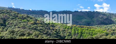 Magnifique paysage de la vallée de Genal dans le parc national de la Sierra de las Nieves, Andalousie, sud de l'Espagne Banque D'Images