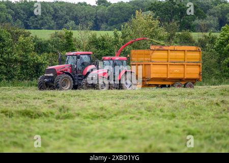 Fabrication d'ensilage Banque D'Images