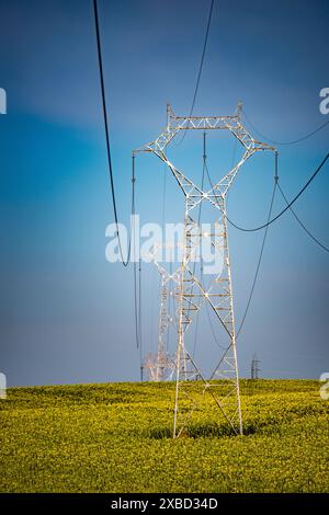 Lignes électriques à haute tension d'une centrale solaire thermique s'étendant à travers des champs de tournesol à Sanlúcar la Mayor, Sevilla, Andalucía, Espagne. Banque D'Images