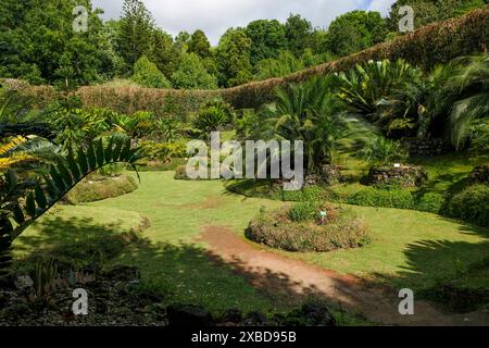 Jardin botanique Terra Nostra à Furnas, île de Sao Miguel, Açores, Portugal Banque D'Images