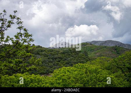 Magnifique paysage de la vallée de Genal dans le parc national de la Sierra de las Nieves, Andalousie, sud de l'Espagne Banque D'Images