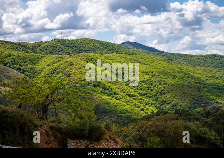 Magnifique paysage de la vallée de Genal dans le parc national de la Sierra de las Nieves, Andalousie, sud de l'Espagne Banque D'Images