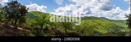 Magnifique paysage de la vallée de Genal dans le parc national de la Sierra de las Nieves, Andalousie, sud de l'Espagne Banque D'Images