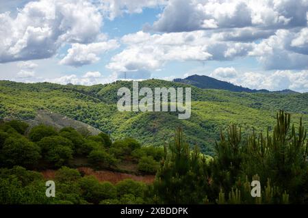 Magnifique paysage de la vallée de Genal dans le parc national de la Sierra de las Nieves, Andalousie, sud de l'Espagne Banque D'Images