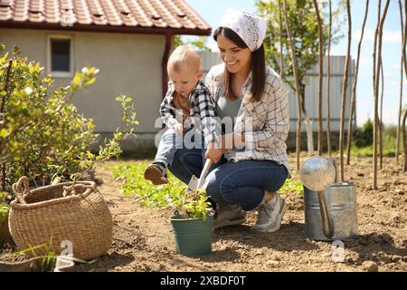 Mère et son fils mignon plantant l'arbre ensemble dans le jardin Banque D'Images