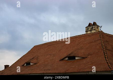 Toit traditionnel avec fenêtres de grenier ressemblant à des yeux en Transylvanie, Roumanie Banque D'Images