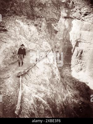 Col. Theodore Roosevelt (26e président des États-Unis) à Jacob's Ladder sur Bright Angel Trail dans le Grand Canyon en mai 1911. (ÉTATS-UNIS) Banque D'Images