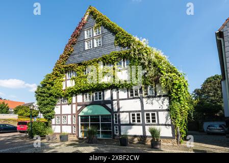 Hattingen, Allemagne - 10 septembre 2023 : vue sur la rue le jour avec un bâtiment à colombages couvert par une plante verte à Hattingen, Rhénanie du Nord-Westphalie, G. Banque D'Images