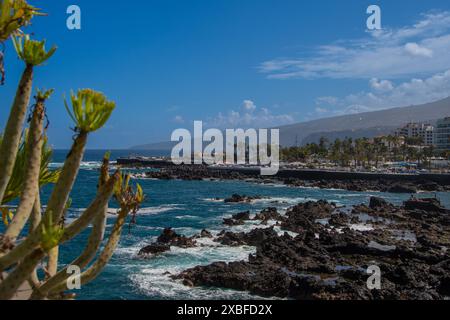 La vue sur la 'Playa de San Telmo' avec de petites piscines rocheuses à Puerto de la Cruz Banque D'Images