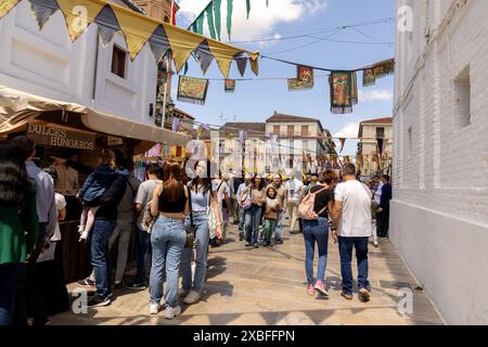 fête médiévale las capitulaciones de santa fe grenade 2024 Banque D'Images