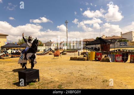 homme montant un cheval en joute Banque D'Images