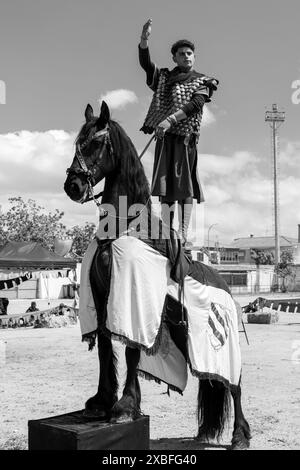 homme montant un cheval en joute Banque D'Images