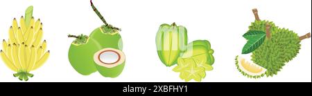 Les fruits portent dans Summer-Banana, Coconut, Starfruit, Durian Illustration de Vecteur