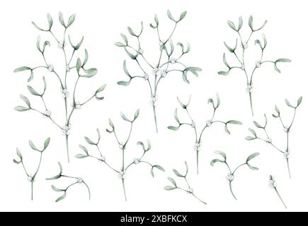 Ensemble traditionnel d'aquarelle de Noël de bouquet de gui isolé sur fond blanc. Illustration de plante peinte à la main pour la conception de vacances d'hiver. Ne Banque D'Images