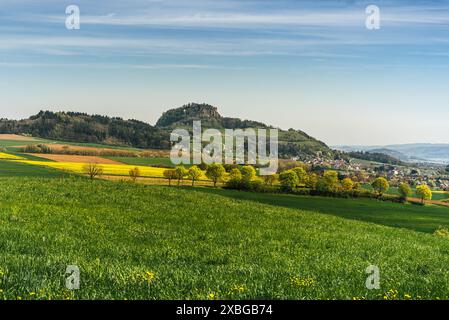 Paysage de Hegau avec vue sur le Hohentwiel, Hilzingen, Bade-Wuerttemberg, Allemagne Banque D'Images