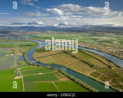 Vue aérienne de l'île de Gràcia et de l'Èbre, dans le delta de l'Èbre, avec des champs verts au début de l'été (Tarragone, Catalogne, Espagne) Banque D'Images