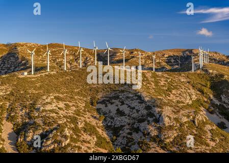 Parc éolien Baix Ebre et chaîne de montagnes Cardó - El Boix un matin d'hiver (Baix Ebre, Tarragone, Catalogne, Espagne) ESP : Parque eólico del Baix Ebre Banque D'Images