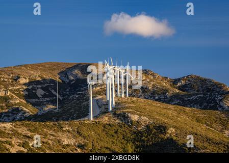 Parc éolien Baix Ebre et chaîne de montagnes Cardó - El Boix un matin d'hiver (Baix Ebre, Tarragone, Catalogne, Espagne) ESP : Parque eólico del Baix Ebre Banque D'Images