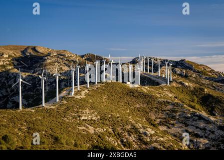 Parc éolien Baix Ebre et chaîne de montagnes Cardó - El Boix un matin d'hiver (Baix Ebre, Tarragone, Catalogne, Espagne) ESP : Parque eólico del Baix Ebre Banque D'Images