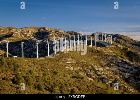 Parc éolien Baix Ebre et chaîne de montagnes Cardó - El Boix un matin d'hiver (Baix Ebre, Tarragone, Catalogne, Espagne) ESP : Parque eólico del Baix Ebre Banque D'Images