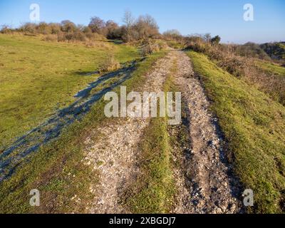 Remparts of Iron Age Hill fort, Winchester, Hampshire, Angleterre, Royaume-Uni, GB. Banque D'Images