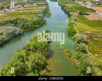 Kayaks sur l'Èbre sur une descente en kayak de la Plataforma en Defensa de l'Ebre alors qu'elle traverse une île (Tarragone, Catalogne, Espagne) Banque D'Images