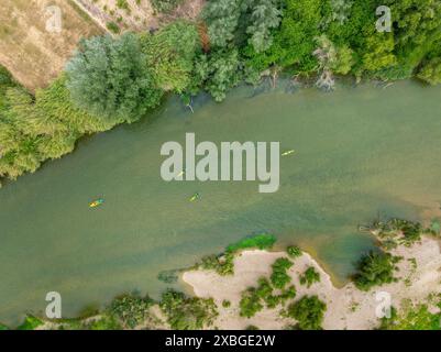 Kayaks sur l'Èbre sur une descente en kayak de la Plataforma en Defensa de l'Ebre alors qu'elle traverse une île (Tarragone, Catalogne, Espagne) Banque D'Images