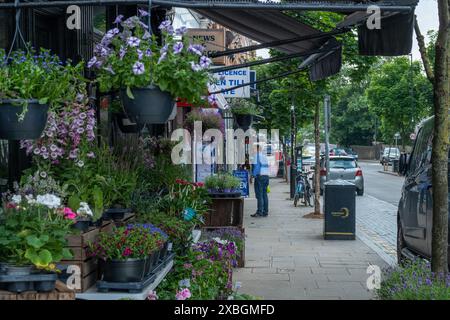 LONDRES - 6 JUIN 2024 : Leopold Road à Wimbledon, une rue de magasins dans un quartier résidentiel aisé du sud-ouest de Londres. Banque D'Images