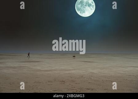 Géographie / voyage, Allemagne, Schleswig-Holstein, pleine lune sur Chesil Beach, Saint Peter-Ording, ADDITIONAL-RIGHTS-CLEARANCE-INFO-NOT-AVAILABLE Banque D'Images